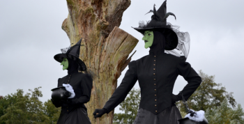 The Witches of OZ