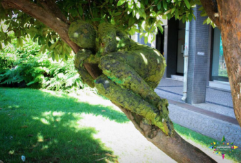 Overgrown