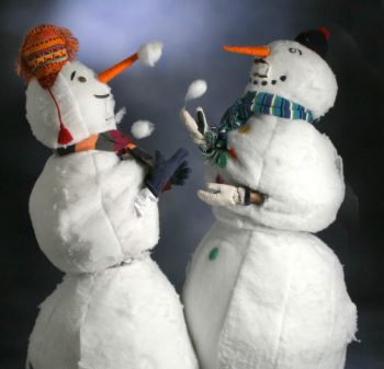 Sneeuwpoppen