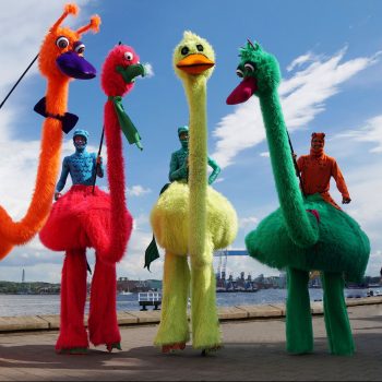 Crazy Birds