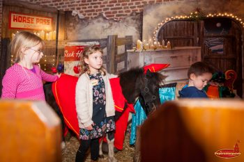 Sinterklaas Pony’s