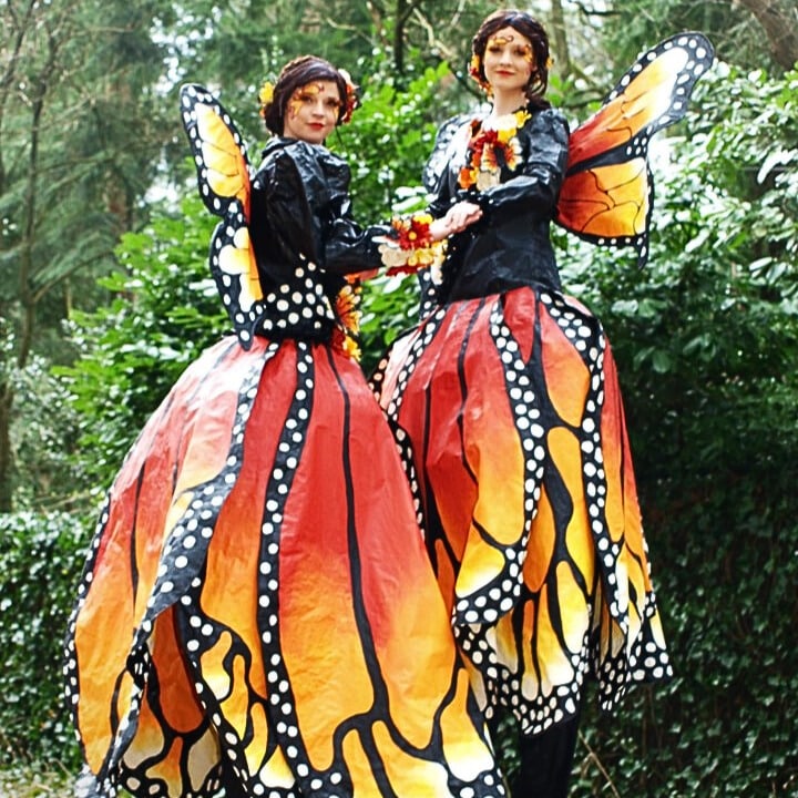 Butterfly vlindervlucht te boeken via kwadraad boekingskantoor online prijs