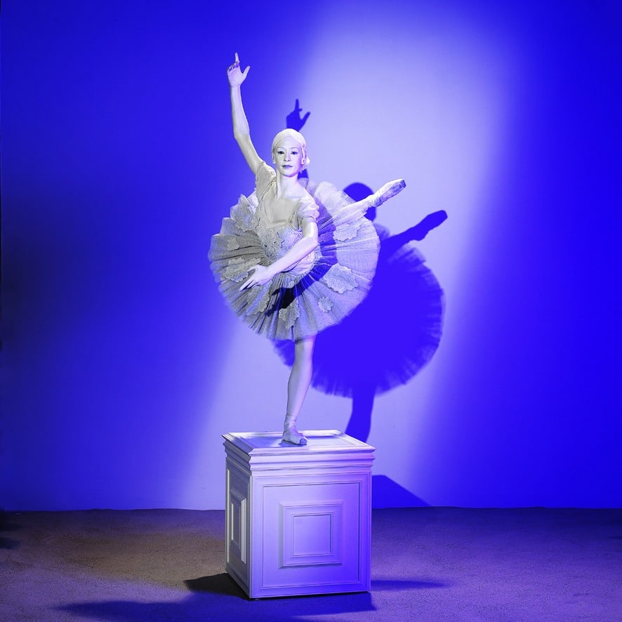 prima ballerina boeken bij boekingskantoor kwadraad online prijs 4